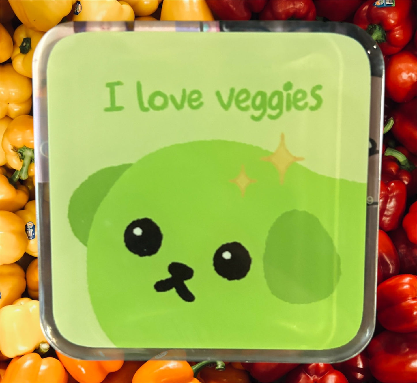 i love veggies mameshiba magnet