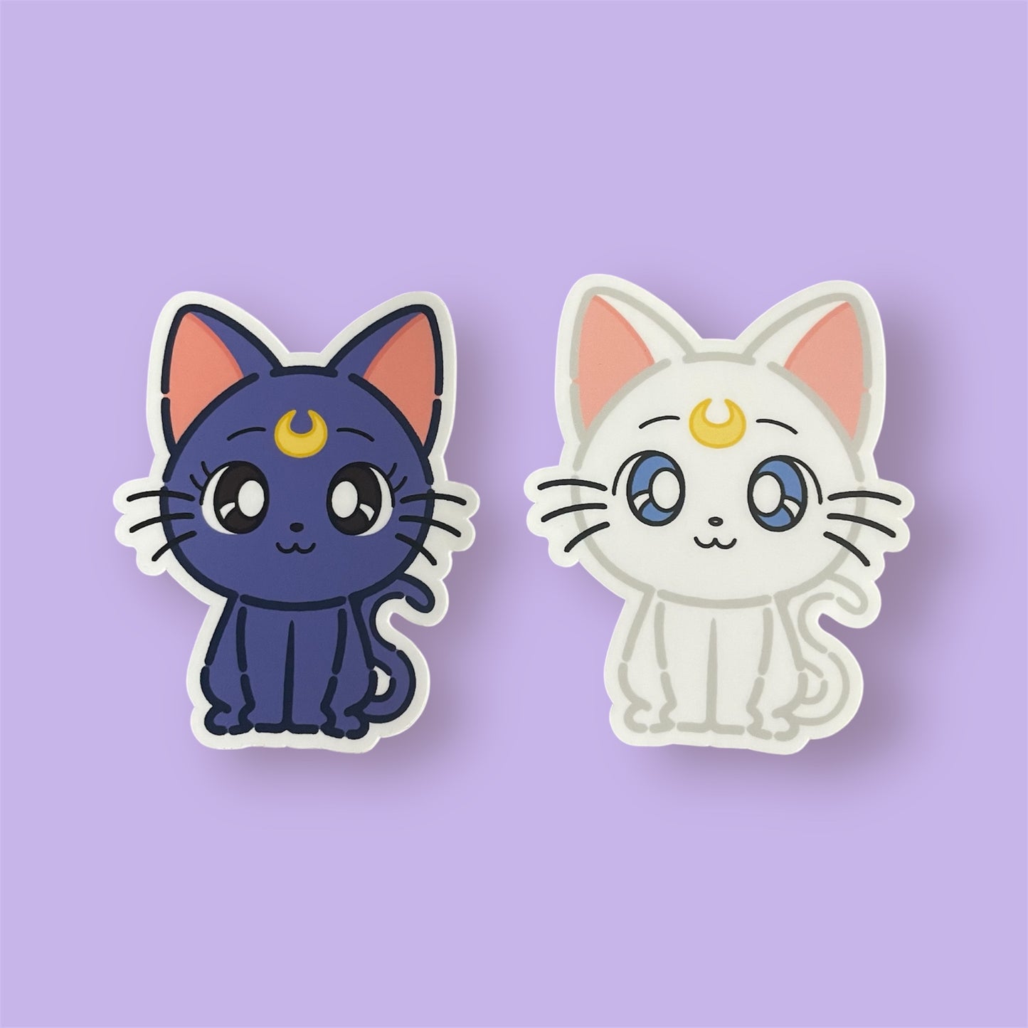 Magical cats sticker