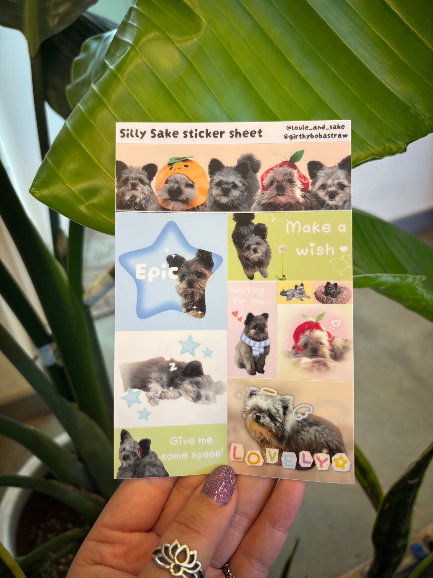 Silly sake sticker sheet
